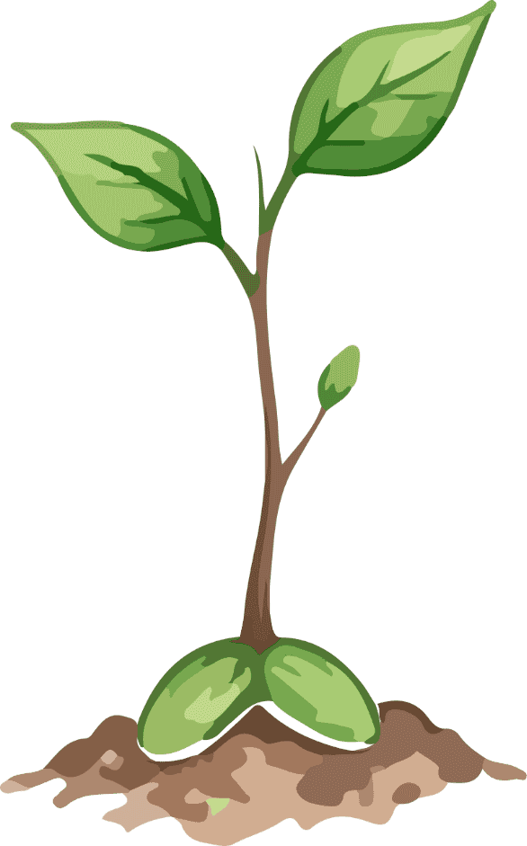 Spritual Growth
